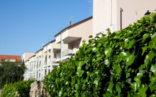 Luixignani – App. E2 – Vicino al mare, immerso nel verde