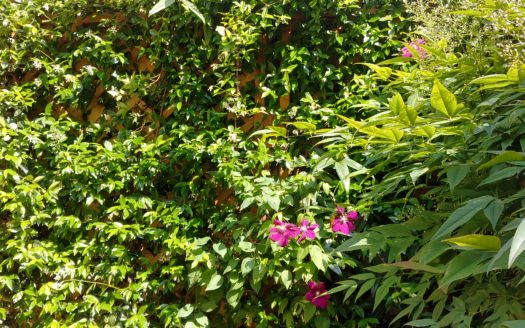 Santo Stefano – Moderno bilocale con terrazzo